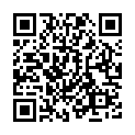 C&oacute;digo QR con el enlace al titular Minibalonmano 2014
