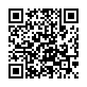 C&oacute;digo QR con el enlace al titular Varios pasajeros tuvieron que bajar de un aviÃ³n en Siberia y empujarlo
