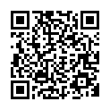 C&oacute;digo QR con el enlace al titular Santa BÃ¡rbara Bendita