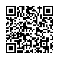 C&oacute;digo QR con el enlace al titular BMW S1000RR reventada en el banco de potencia