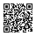 C&oacute;digo QR con el enlace al titular Piedra contra los vÃ¡ndalos