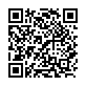 C&oacute;digo QR con el enlace al titular New Themes: Plane and Capoverso