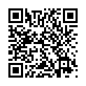 C&oacute;digo QR con el enlace al titular El estrÃ©s de la seÃ±ora alcaldesa