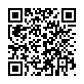 C&oacute;digo QR con el enlace al titular Vuelo TG948