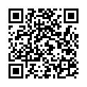 C&oacute;digo QR con el enlace al titular LAS MENTIRAS DE LA CASTA.