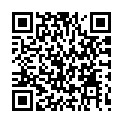 C&oacute;digo QR con el enlace al titular Jan, el genio humilde