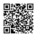 C&oacute;digo QR con el enlace al titular San Juan busca â€˜retratistaâ€™