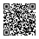 C&oacute;digo QR con el enlace al titular Un tremendo alud cortÃ³ durante 3 horas el puerto de Panderrueda