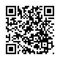 C&oacute;digo QR con el enlace al titular Bandera y Borjas, Â¡vaya pareja!