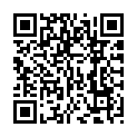 C&oacute;digo QR con el enlace al titular IMPRECISELFIES