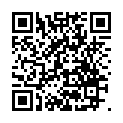C&oacute;digo QR con el enlace al titular El problema del barquero