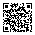 C&oacute;digo QR con el enlace al titular Los errores, se pagan