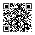 C&oacute;digo QR con el enlace al titular Lo que cuesta cada voto