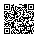 C&oacute;digo QR con el enlace al titular Noche chanante en American Beer