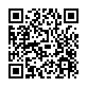 C&oacute;digo QR con el enlace al titular Gobernar desde el coche