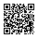 C&oacute;digo QR con el enlace al titular &ldquo;El triÃ¡ngulo azul&rdquo; en el Bergidum