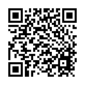 C&oacute;digo QR con el enlace al titular Modelismo de memoria histÃ³rica