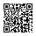 C&oacute;digo QR con el enlace al titular 500 banderas leonesas contra el DÃ­a de la Comunidad