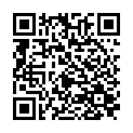 C&oacute;digo QR con el enlace al titular El PAL se quedÃ³ solo apoyando a la alcaldesa en el Ãºltimo Pleno