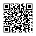 C&oacute;digo QR con el enlace al titular Carrera electoral