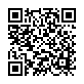 C&oacute;digo QR con el enlace al titular * Viajar es Volar * EL BIERZO