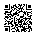 Código QR con el enlace al titular Antonio SilvÃ¡n acude a la tradicional misa de San Juan