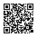 Código QR con el enlace al titular La PolicÃ­a municipal estrena coche