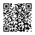 Código QR con el enlace al titular El equipo que gobierna la DiputaciÃ³n