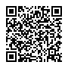 Código QR con el enlace al titular A caballo protegiendo a los peregrinos en Hospital