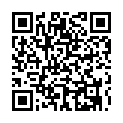 Código QR con el enlace al titular Nota de rectificaciÃ³n de Grupo Telemark
