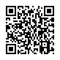 Código QR con el enlace al titular GPS Plaza en Diario Design