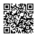 C&oacute;digo QR con el enlace al titular ExposiciÃ³n de JosÃ© Francisco Redondo 'Al abordaje'