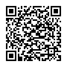 C&oacute;digo QR con el enlace al titular El 'DÃ­a de los solteros', clave para el consumo en China