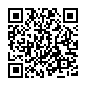 C&oacute;digo QR con el enlace al titular Unidad de las instituciones y sociedad leonesa ante los atentados de ParÃ­s