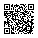 C&oacute;digo QR con el enlace al titular Minibalonmano