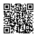 Código QR con el enlace al titular La avispa asiÃ¡tica ya amenaza al Bierzo y su llegada solo es cuestiÃ³n de tiempo