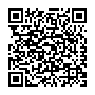 Código QR con el enlace al titular Un detenido por preparar un atentado en Nochevieja en Nueva York
