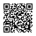 Código QR con el enlace al titular Los mÃ©ritos del comandante Zorita