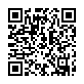 Código QR con el enlace al titular El Ayuntamiento esparce 1.100 kilos de sal en puntos estratÃ©gicos de la ciudad