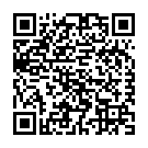 Código QR con el enlace al titular Party