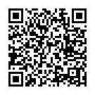 Código QR con el enlace al titular La rotonda por el carril exterior