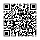 Código QR con el enlace al titular Un agujero negro de 5 dimensiones se 'traga' a Albert Einstein
