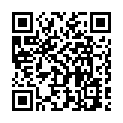 Código QR con el enlace al titular El Festival Tesla prosigue hoy su actividad