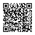 Código QR con el enlace al titular Un macrobotellÃ³n, cinco dÃ­as y 6.000 euros para limpiarlo