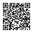 Código QR con el enlace al titular Una salida de vÃ­a que acaba dentro del carril bici