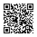 C&oacute;digo QR con el enlace al titular La antena de la polÃ©mica