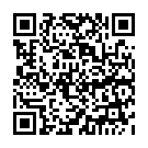 C&oacute;digo QR con el enlace al titular Red Hook Criterium Brooklyn No.9 2016