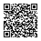 C&oacute;digo QR con el enlace al titular Jorge Lorenzo no da opciÃ³n a sus rivales en Le Mans