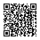 C&oacute;digo QR con el enlace al titular Jorge Lorenzo no da opciÃ³n a sus rivales en Le Mans
