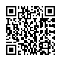 C&oacute;digo QR con el enlace al titular Michael Schmidt againâ€¦